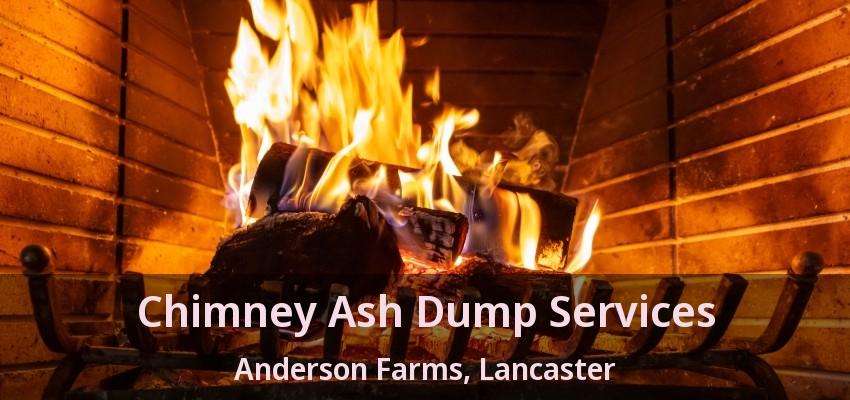 Chimney Ash Dump Services Anderson Farms, Lancaster - TX