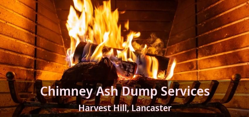 Chimney Ash Dump Services Harvest Hill, Lancaster - TX