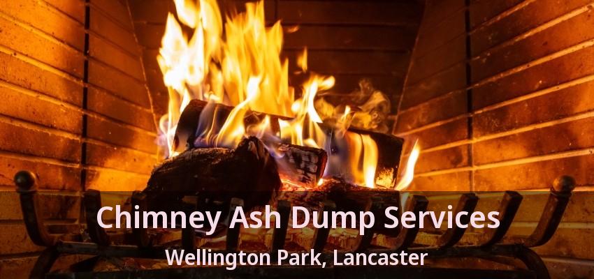 Chimney Ash Dump Services Wellington Park, Lancaster - TX