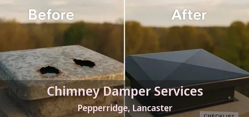 Chimney Damper Services Pepperridge, Lancaster - TX