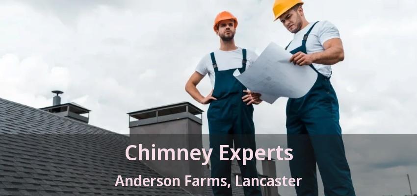 Chimney Experts Anderson Farms, Lancaster - TX