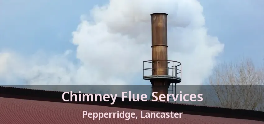 Chimney Flue Services Pepperridge, Lancaster - TX