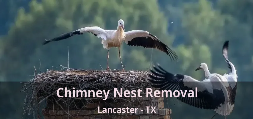Chimney Nest Removal Lancaster - TX