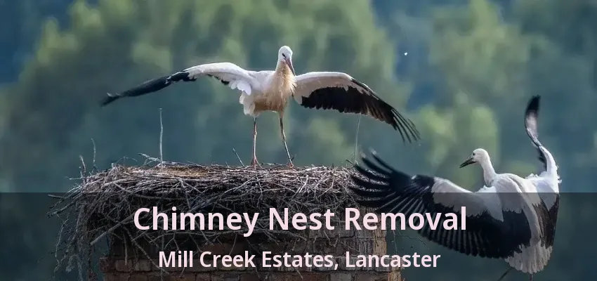 Chimney Nest Removal Mill Creek Estates, Lancaster - TX