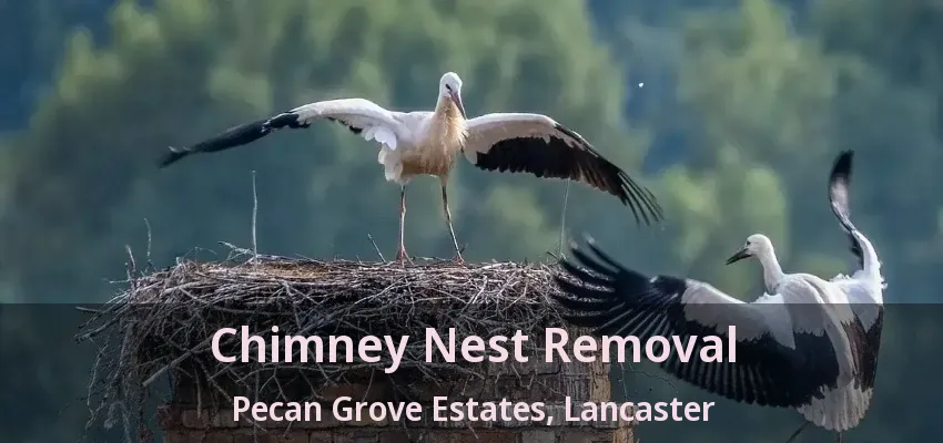 Chimney Nest Removal Pecan Grove Estates, Lancaster - TX
