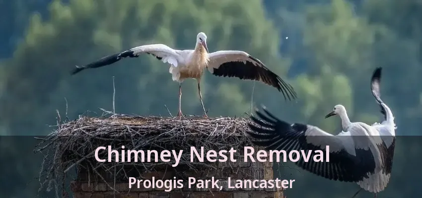 Chimney Nest Removal Prologis Park, Lancaster - TX
