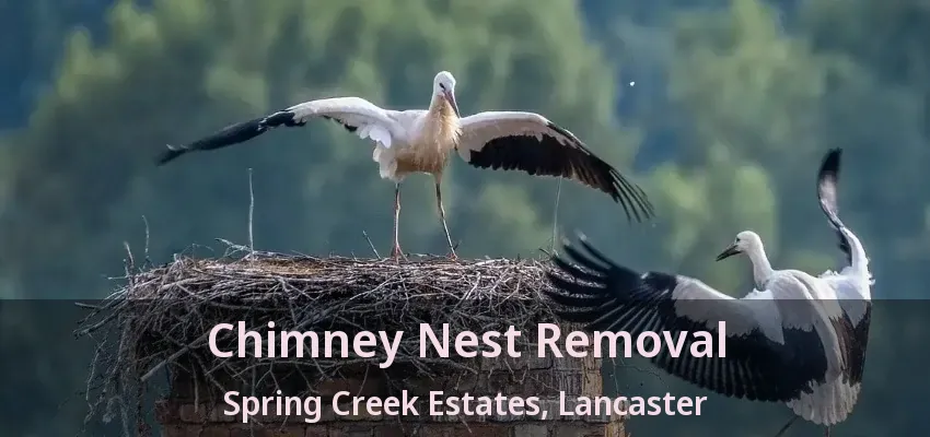 Chimney Nest Removal Spring Creek Estates, Lancaster - TX