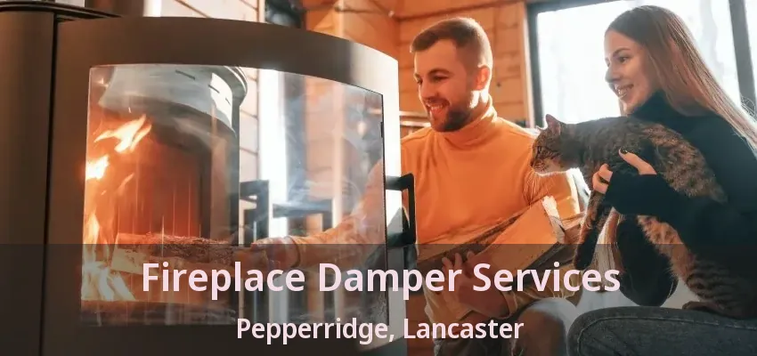 Fireplace Damper Services Pepperridge, Lancaster - TX