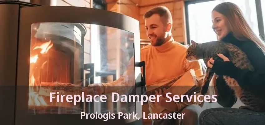 Fireplace Damper Services Prologis Park, Lancaster - TX