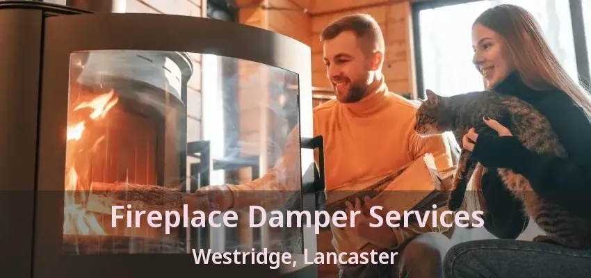 Fireplace Damper Services Westridge, Lancaster - TX