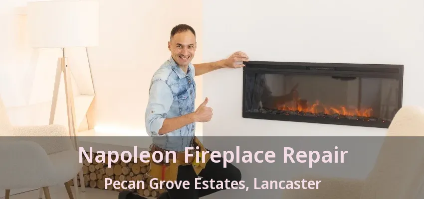 Napoleon Fireplace Repair Pecan Grove Estates, Lancaster - TX