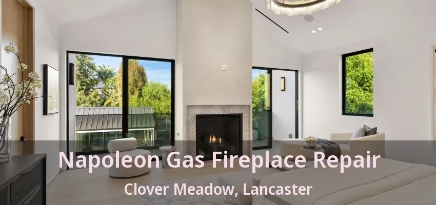 Napoleon Gas Fireplace Repair Clover Meadow, Lancaster - TX