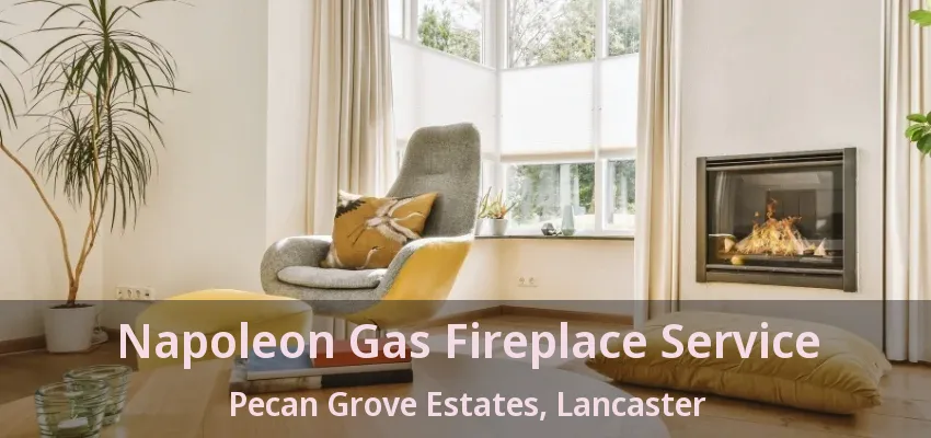 Napoleon Gas Fireplace Service Pecan Grove Estates, Lancaster - TX