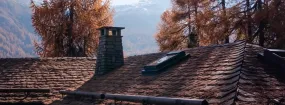 Chimney Animal Removal Lancaster
