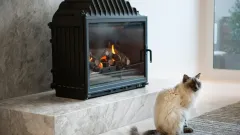 Wood Burning Fireplace Repair Lancaster