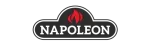Napoleon Enviro Fireplace Repair in Lancaster